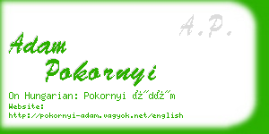 adam pokornyi business card